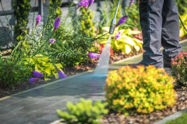 Best Pool Deck Cleaning  in Lake Crystal, MN