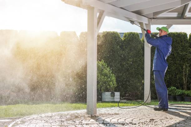 Best Fence Cleaning  in Lake Crystal, MN