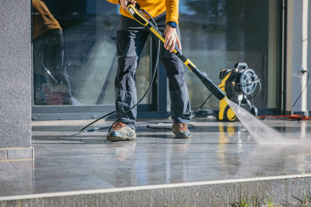 Best House Exterior Washing  in Lake Crystal, MN
